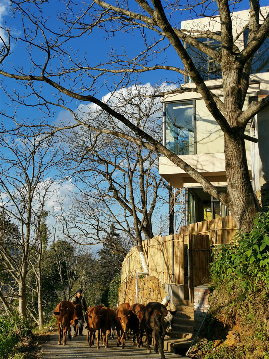 凹凸民宿酒店設(shè)計(jì)公司 凹凸民宿酒店設(shè)計(jì)公司