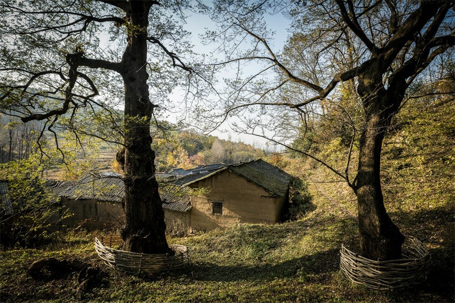 凹凸民宿酒店設(shè)計公司